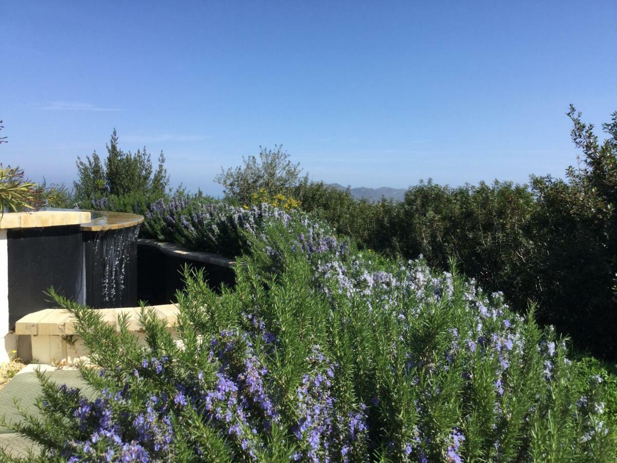 Le Tre Civette - Residenza Di Campagna Bed & Breakfast Villa San Pietro Eksteriør bilde